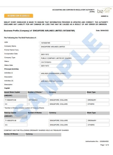 シンガポールの登記情報サンプルデータ